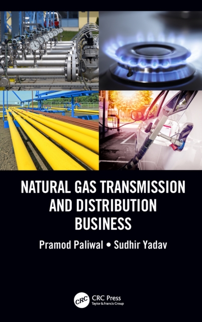 Natural Gas Transmission and Distribution Business, EPUB eBook
