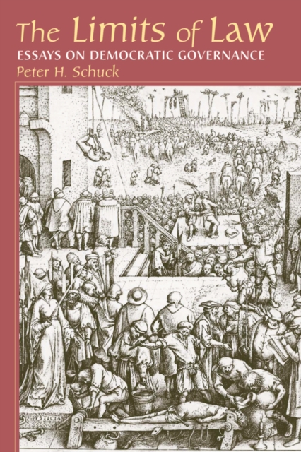 Limits Of Law : Essays On Democratic Governance, PDF eBook