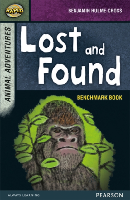 Rapid Stage 7 Assessment book: Lost and Found, Paperback / softback Book