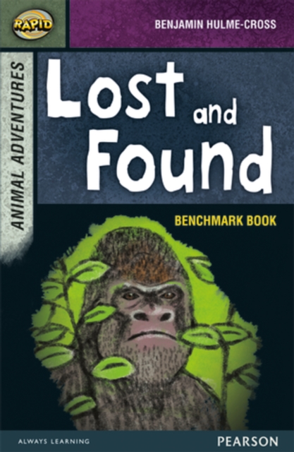 Rapid Stage 7 Assessment book: Lost and Found, Paperback / softback Book