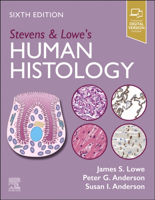 Stevens & Lowe's Human Histology, Paperback / softback Book