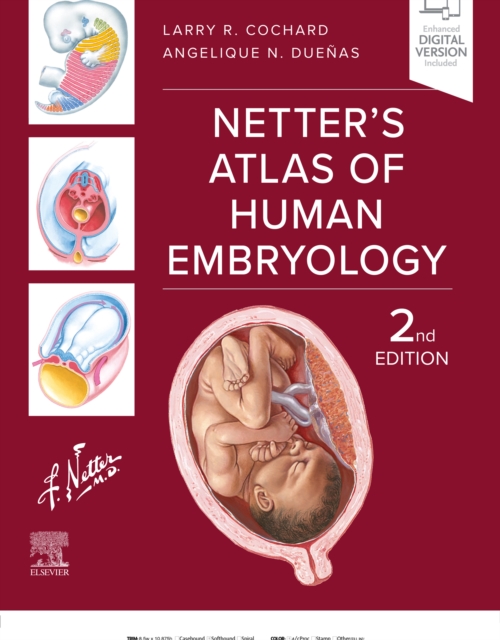 Netter's Atlas of Human Embryology - E-BOOK : Netter's Atlas of Human Embryology - E-BOOK, EPUB eBook