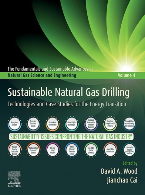 Sustainable Natural Gas Drilling : Technologies and Case Studies for the Energy Transition, EPUB eBook