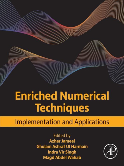 Enriched Numerical Techniques : Implementation and Applications, EPUB eBook