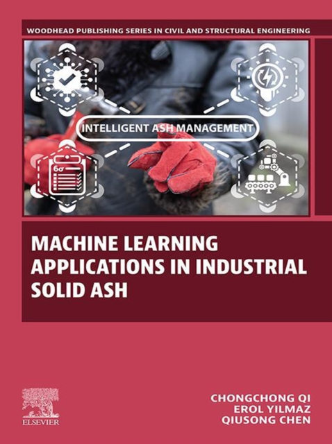 Machine Learning Applications in Industrial Solid Ash, EPUB eBook