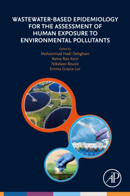 Wastewater-Based Epidemiology for the Assessment of Human Exposure to Environmental Pollutants, EPUB eBook