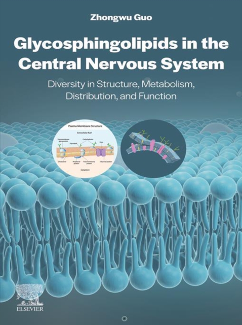 Glycosphingolipids in the Central Nervous System : Diversity in Structure, Metabolism, Distribution, and Function, EPUB eBook