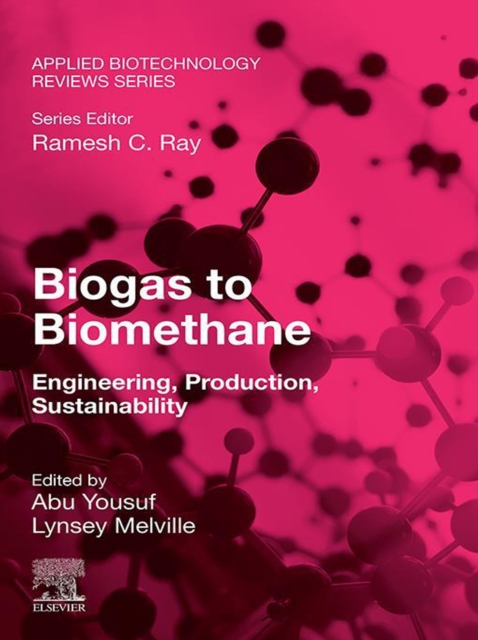 Biogas to Biomethane : Engineering, Production, Sustainability, EPUB eBook