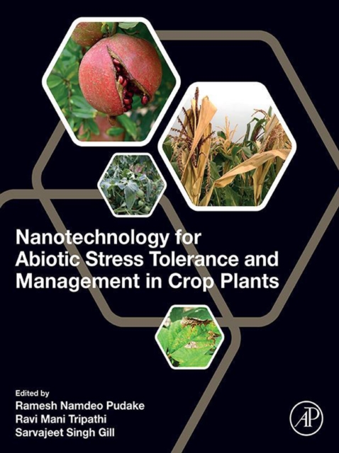 Nanotechnology for Abiotic Stress Tolerance and Management in Crop Plants, EPUB eBook