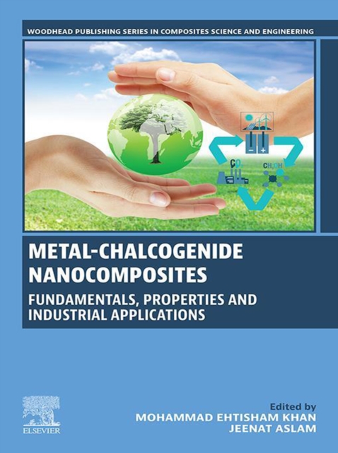 Metal-Chalcogenide Nanocomposites : Fundamentals, Properties and Industrial Applications, EPUB eBook