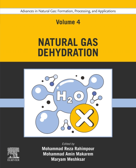 Advances in Natural Gas: Formation, Processing, and Applications. Volume 4: Natural Gas Dehydration, EPUB eBook