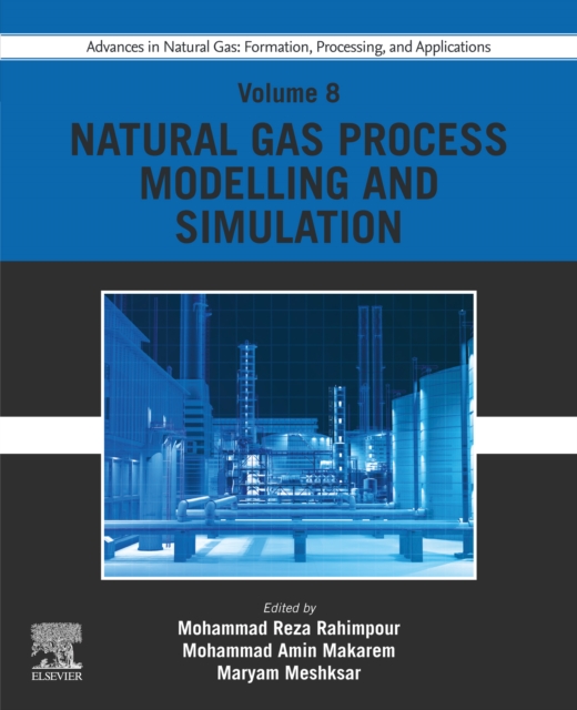 Advances in Natural Gas: Formation, Processing, and Applications. Volume 8: Natural Gas Process Modelling and Simulation, EPUB eBook