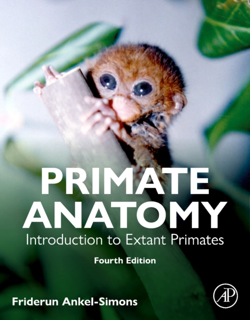 Primate Anatomy : Introduction to Extant Primates, Paperback / softback Book