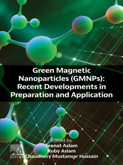 Green Magnetic Nanoparticles (GMNPs) : Recent Developments in Preparation and Application, EPUB eBook