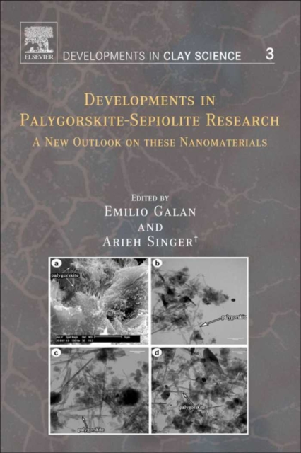 Developments in Palygorskite-Sepiolite Research : A New Outlook on these Nanomaterials, EPUB eBook