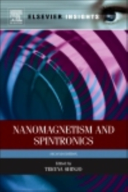 Nanomagnetism and Spintronics, EPUB eBook