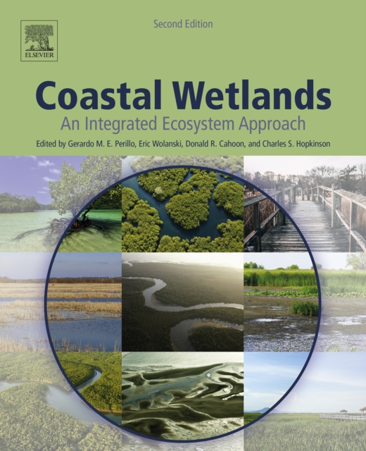 Coastal Wetlands : An Integrated Ecosystem Approach, EPUB eBook