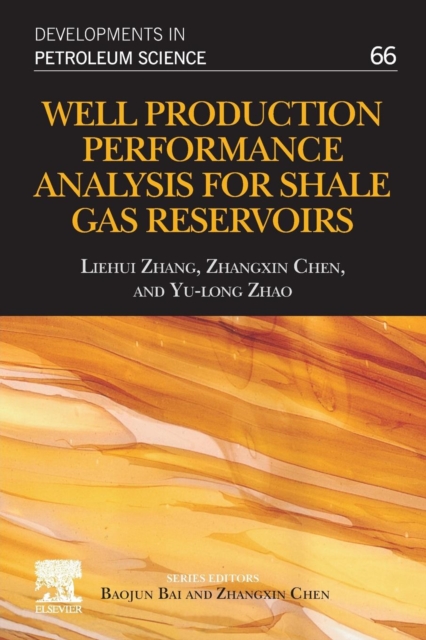 Well Production Performance Analysis for Shale Gas Reservoirs : Volume 66, Paperback / softback Book