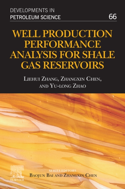 Well Production Performance Analysis for Shale Gas Reservoirs, EPUB eBook