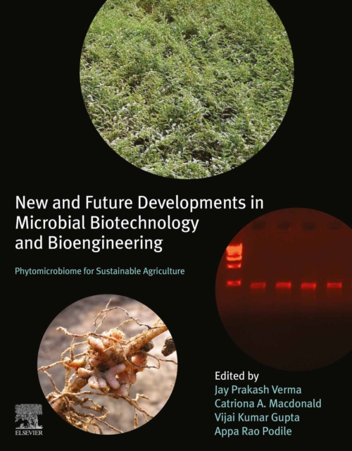 New and Future Developments in Microbial Biotechnology and Bioengineering : Phytomicrobiome for Sustainable Agriculture, EPUB eBook