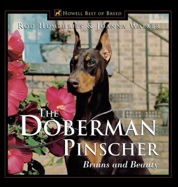 The Doberman Pinscher : Brains and Beauty, EPUB eBook