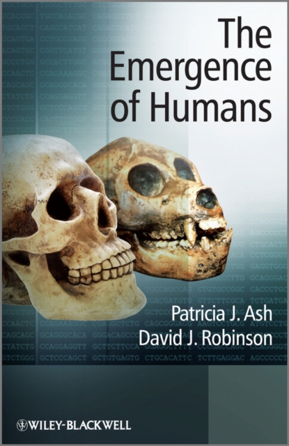 The Emergence of Humans : An Exploration of the Evolutionary Timeline, PDF eBook