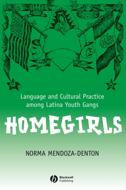 Homegirls : Language and Cultural Practice Among Latina Youth Gangs, PDF eBook