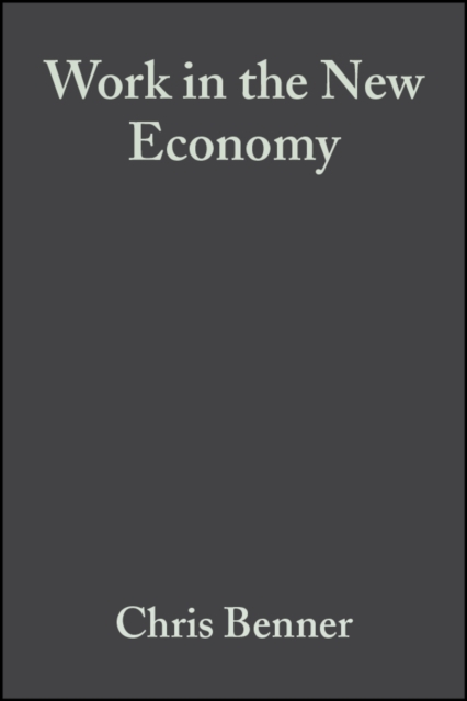 Work in the New Economy : Flexible Labor Markets in Silicon Valley, PDF eBook