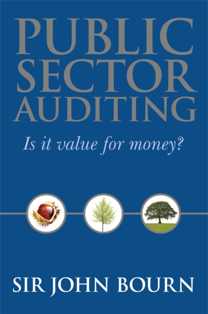 Public Sector Auditing : Is it Value for Money?, PDF eBook