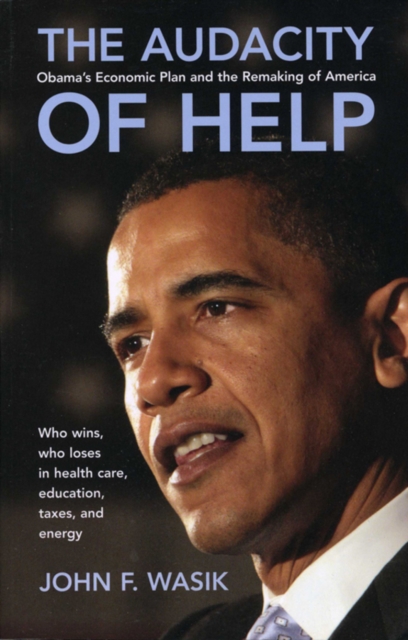 The Audacity of Help : Obama's Stimulus Plan and the Remaking of America, PDF eBook