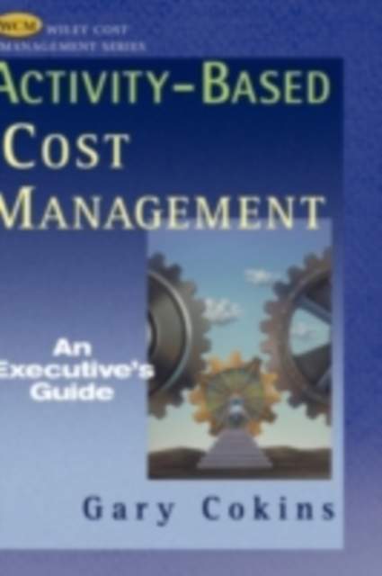 Activity-Based Cost Management : An Executive's Guide, PDF eBook
