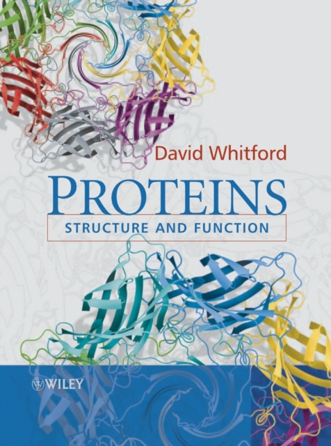 Proteins : Structure and Function, Paperback / softback Book