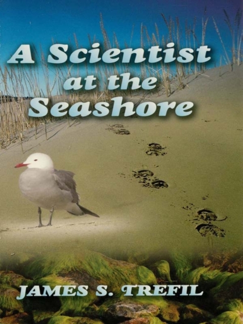 A Scientist at the Seashore, EPUB eBook