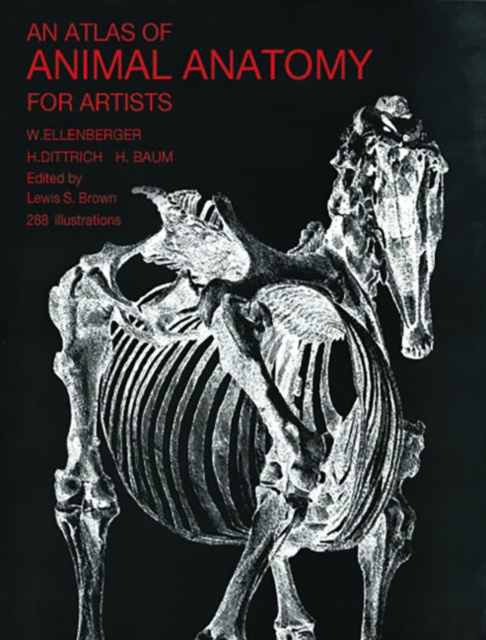 An Atlas of Animal Anatomy for Artists, Paperback / softback Book