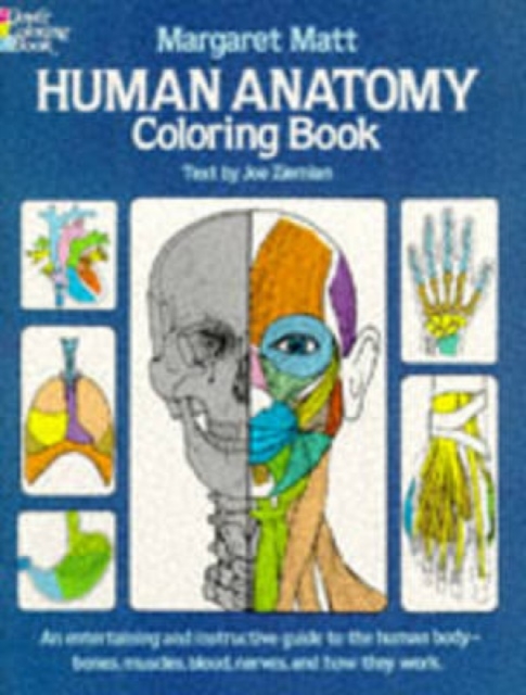 Human Anatomy, Paperback / softback Book