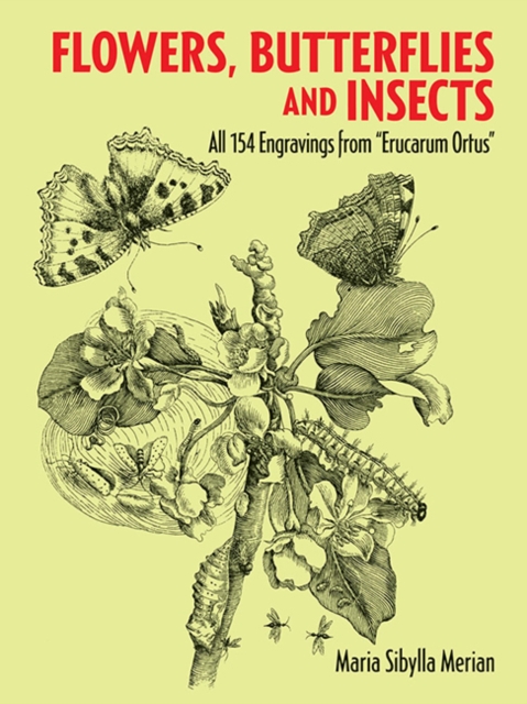 Flowers, Butterflies and Insects, Paperback / softback Book