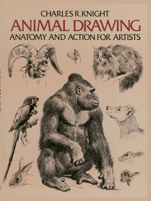 Animal Drawing : Anatomy and Action for Artists, EPUB eBook