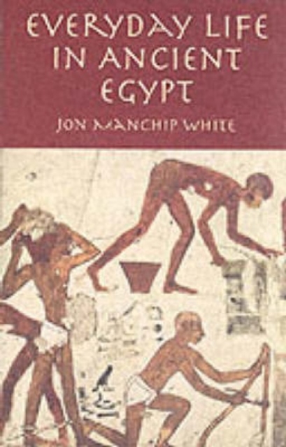 Everyday Life in Ancient Egypt, Paperback / softback Book