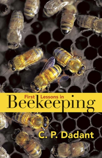 First Lessons in Beekeeping, Paperback / softback Book