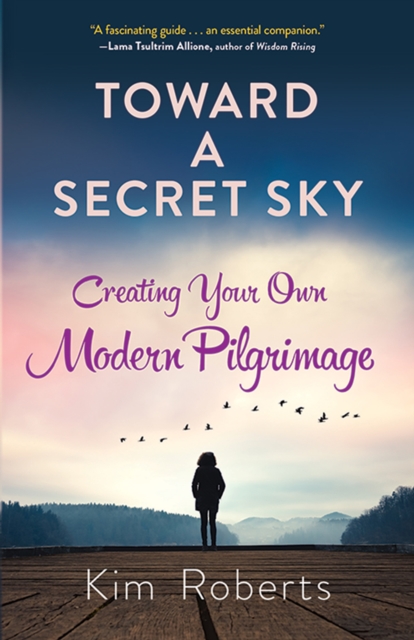 Toward a Secret Sky, EPUB eBook