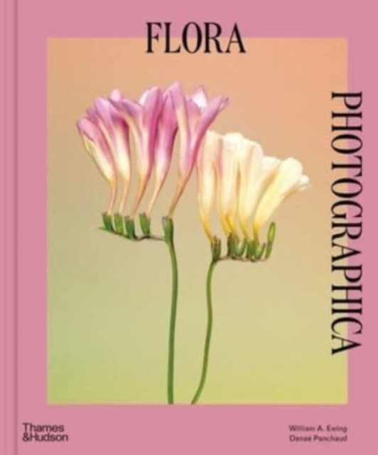 Flora Photographica : The Flower in Contemporary Photography, Hardback Book
