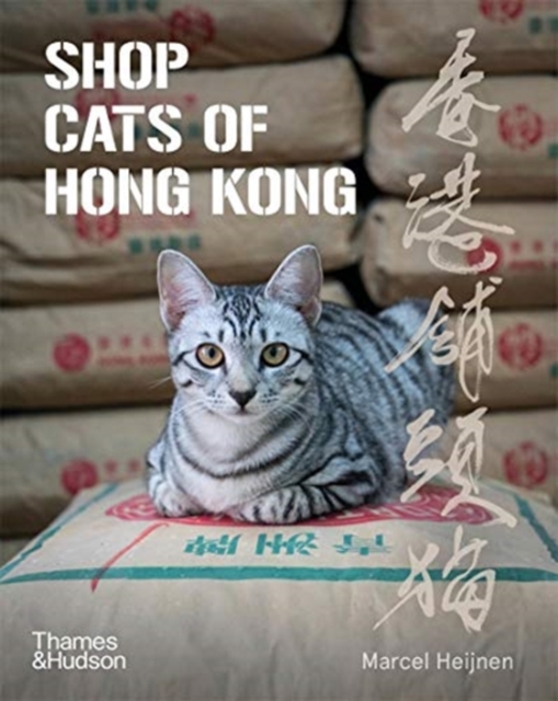 Shop Cats of Hong Kong, Paperback / softback Book