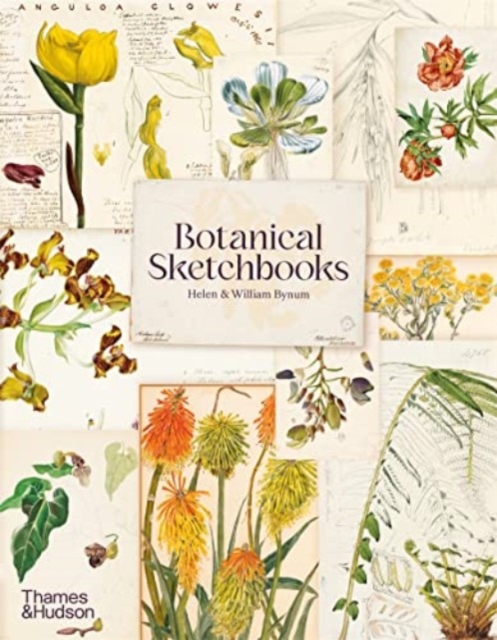 Botanical Sketchbooks, Paperback / softback Book
