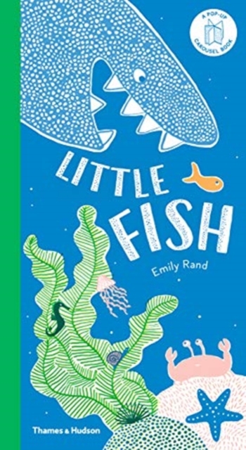 Little Fish : A Carousel Book, Hardback Book