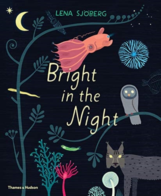 Bright in the Night, Hardback Book