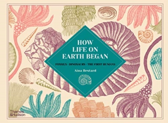 How Life on Earth Began : Fossils · Dinosaurs · The First Humans, Hardback Book