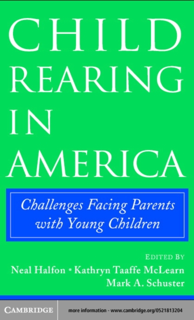 Child Rearing in America : Challenges Facing Parents with Young Children, PDF eBook