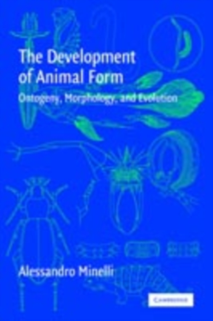 Development of Animal Form : Ontogeny, Morphology, and Evolution, PDF eBook