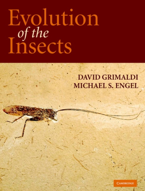 Evolution of the Insects, PDF eBook