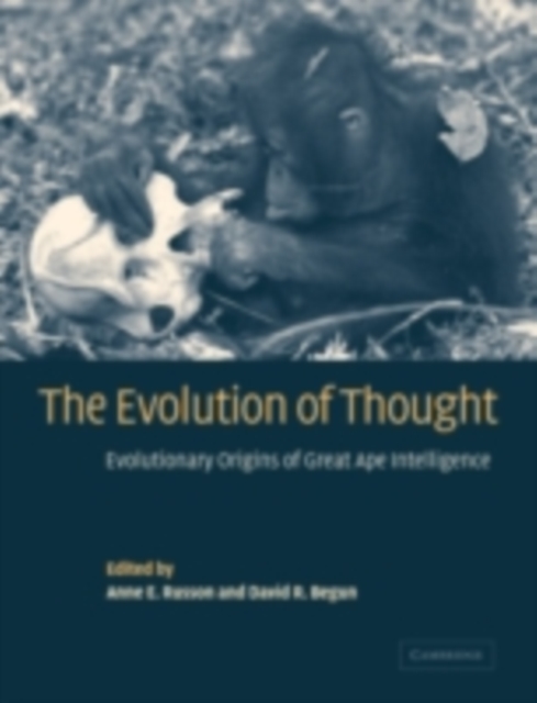 Evolution of Thought : Evolutionary Origins of Great Ape Intelligence, PDF eBook